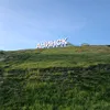 gooseabsolute