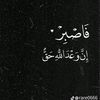 mohammed.labib.4000