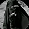 11__erim1