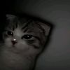 coco_ Art