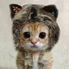 thelittlekitten1