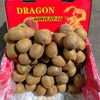 dunia.buah.segar5