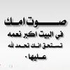 user5062509272241