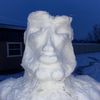 chickenwizard8