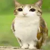 zaymyin_9