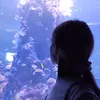 kini_3.0