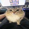 doxsyy3