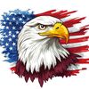 challengeyourselfusa