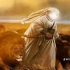 md...sujon.islam8