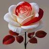 md.shahin8054