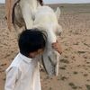 aloush_5155