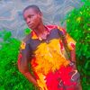 tnton381