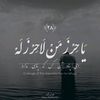 mohmmadi136