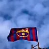 q11112q
