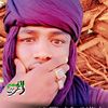 husseintawer