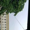 user7680178131124