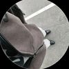 anthonymorenocont32