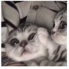 laylay_2222