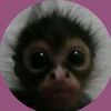 yos_eze