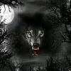 user9230129118580
