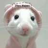 dieuhuyen2013hihi