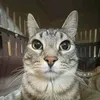 danghai28_21