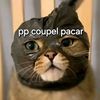 parhan.han36