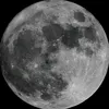 mr.moom1237
