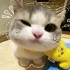 smiling_314