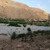 amedalmusily