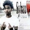 skibidi_t96