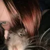 djacidy