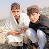 shamshad.shamshad766