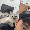 matcha_3441