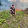 quang.hovan7