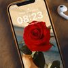 user439917919