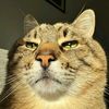 mralmoar055