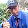 gulo.gulo81
