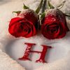 heba.rizk944hana