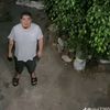 kevindavila783