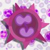 sir.neutrophil
