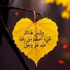 user220739545
