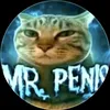 cat_dog_lover_61