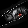 phyo224.unow