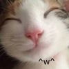 meowdy4554