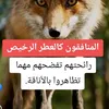 user2684582432129