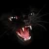 timam_on.tut