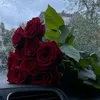 little_witch3335