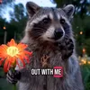 dashtheraccoon2