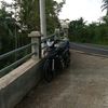 mxold_musanggunung